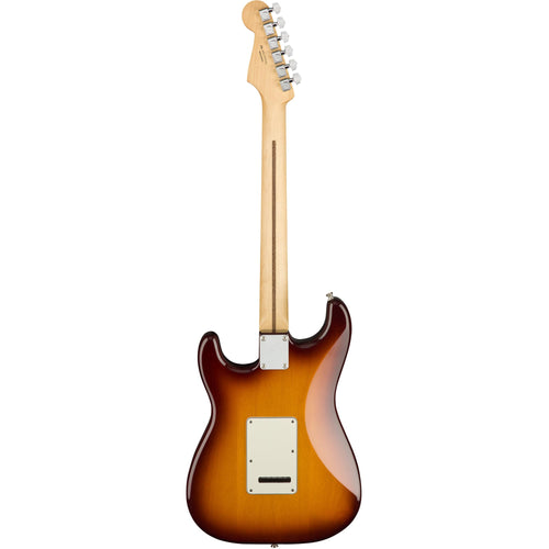 Fender Player Series Stratocaster Plus Top - Pau Ferro Fingerboard - Tobacco Sunburst