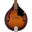 Fender PM-180E Mandolin With Bag, Walnut, Aged Cognac Burst