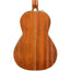 Fender PM-2 Parlor All Mahogany With Case - Natural