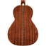 Fender PS-220E Parlor Acoustic Guitar With Case, Ovangkol, Natural