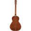 Fender PS-220E Parlor Acoustic Guitar With Case, Ovangkol, Natural