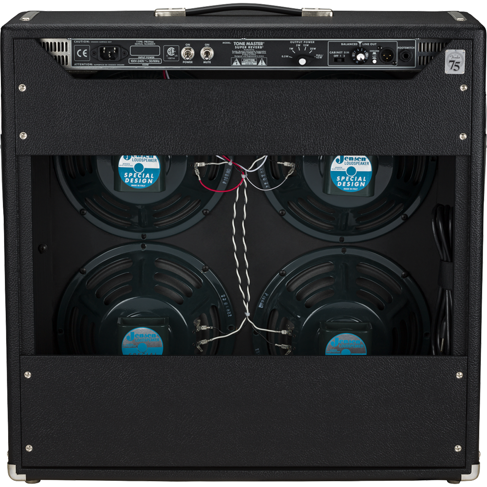 Fender Tone Master Super Reverb, 120V