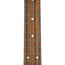 Fender Vintera '60s Telecaster Bigsby Pau Ferro, White Blonde