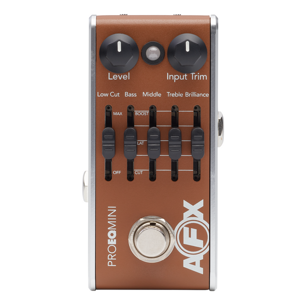 Fishman - AFX Pro