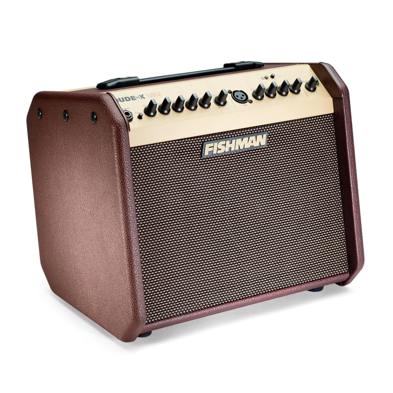 Fishman Loudbox Mini Bluetooth 60 Watts