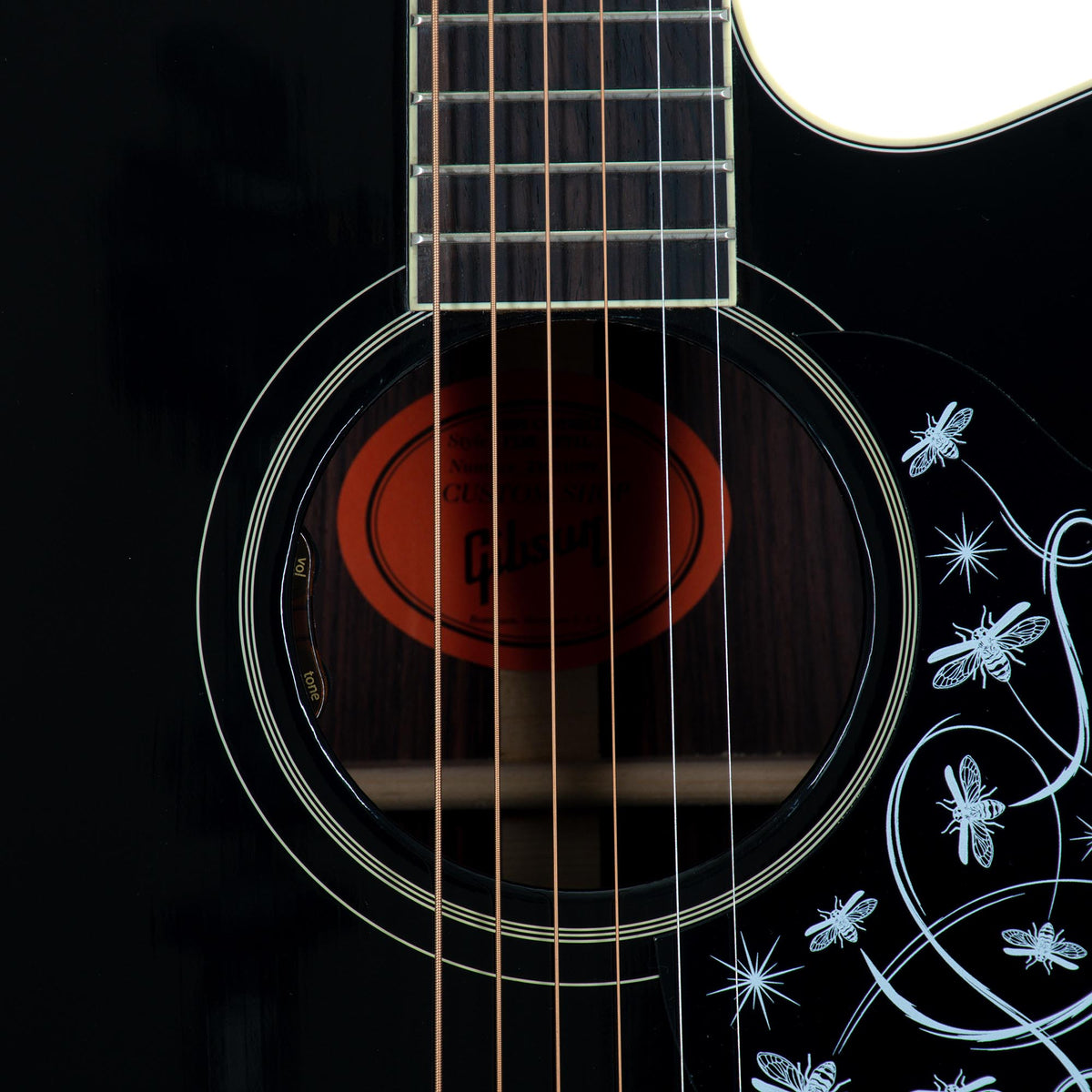 Gibson Custom Jerry Cantrell Fire Devil Songwriter, Ebony