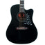 Gibson Custom Jerry Cantrell Fire Devil Songwriter, Ebony