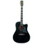 Gibson Custom Jerry Cantrell Fire Devil Songwriter, Ebony