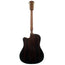 Gibson Custom Jerry Cantrell Fire Devil Songwriter, Ebony