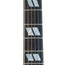 Gibson Custom Jerry Cantrell Fire Devil Songwriter, Ebony