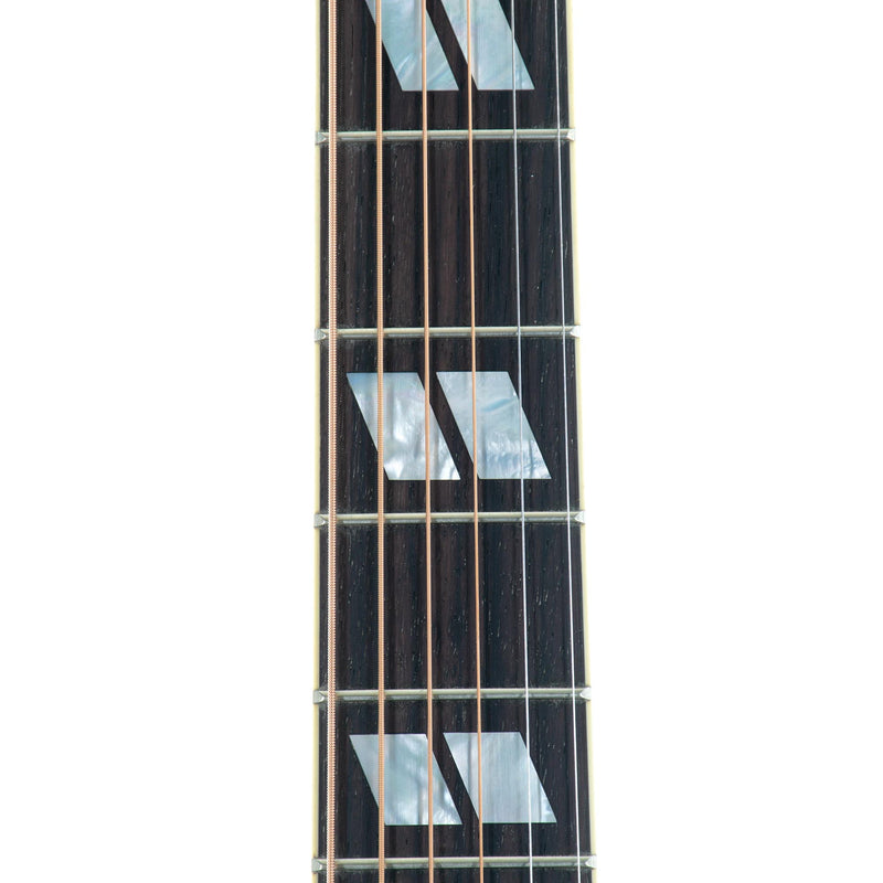 Gibson Custom Jerry Cantrell Fire Devil Songwriter, Ebony