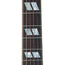 Gibson Dove Original, Ebony Finish, Limited Edition
