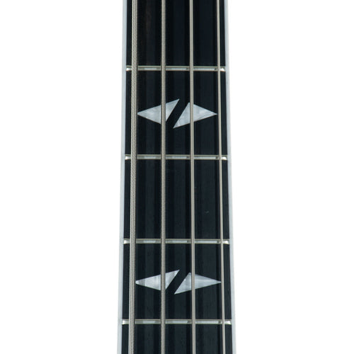 Gibson Gene Simmons G2 Thunderbird, Ebony