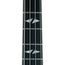 Gibson Gene Simmons G2 Thunderbird, Ebony
