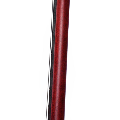 Gibson Les Paul Junior Tribute DC Bass Worn Cherry