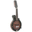 Gold Tone 12 String F-Style Mando-Guitar With Pickup And Case