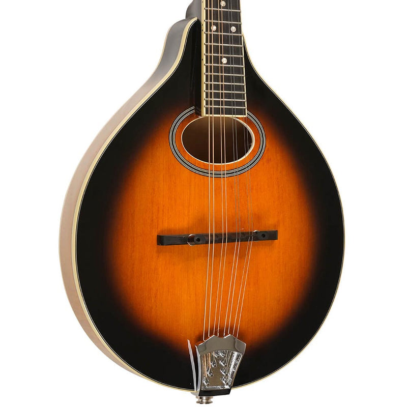 Gold Tone GM-50+ A Style Mandolin With Pickup And Bag