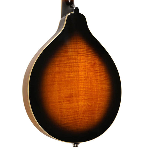 Gold Tone GM-50+ A Style Mandolin With Pickup And Bag