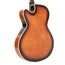 Gold Tone Mandocello With Pickup And Case