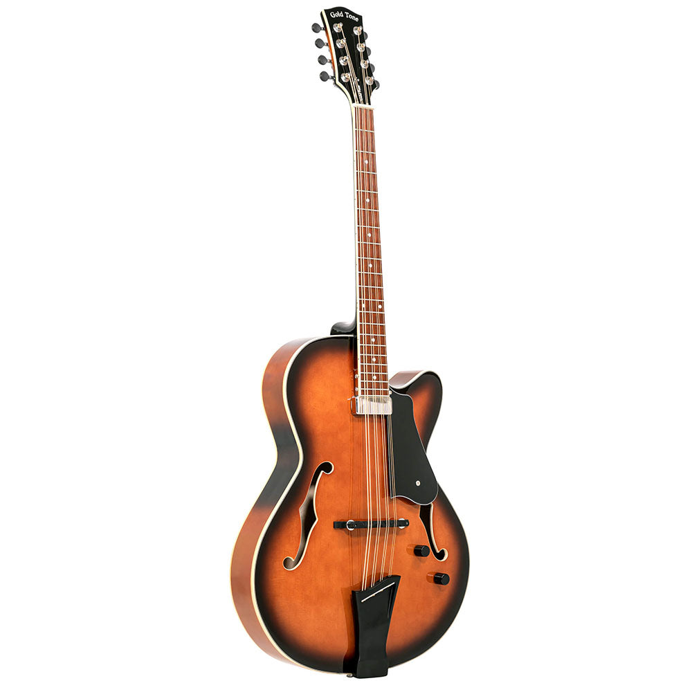 Gold Tone Mandocello With Pickup And Case