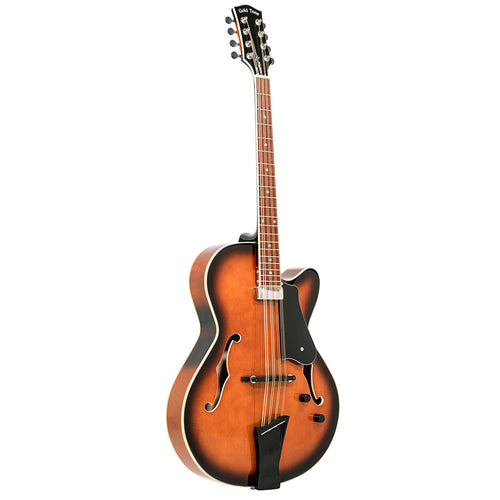 Gold Tone Mandocello With Pickup And Case