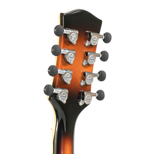 Gold Tone Mandocello With Pickup And Case