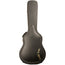 Gold Tone Mandocello With Pickup And Case