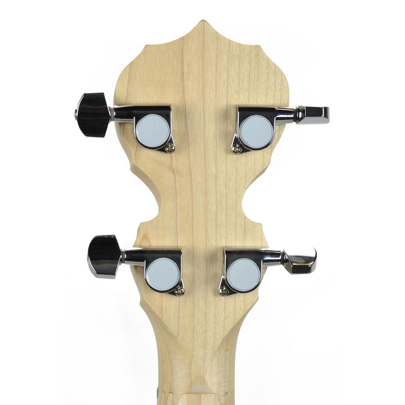 Goodtime 5-String Openback Banjo