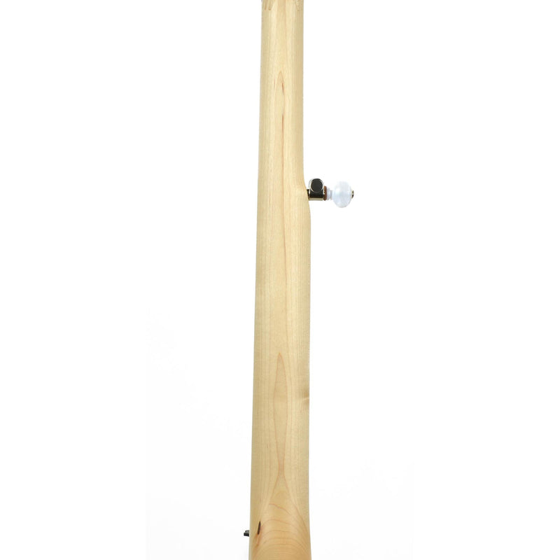 Goodtime 5-String Openback Banjo
