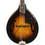 Gretsch G9311 New Yorker Supreme A/E Mandolin