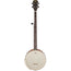 Gretsch G9450 Dixie 5-String Open-Back Banjo