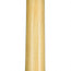 Harmony Silhouette Electric Guitar Champagne