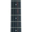 Harmony Silhouette Electric Guitar Slate