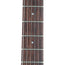 Harmony Standard Silhouette Electric Guitar With Case, Rosewood, Champagne