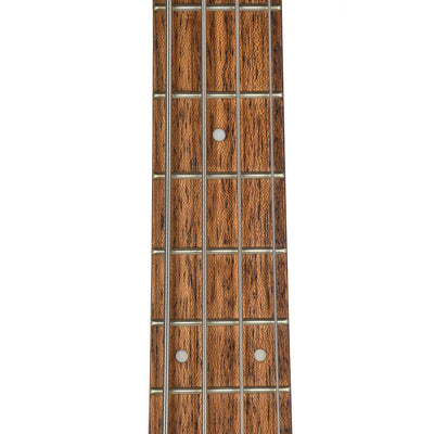 Ibanez Standard SR300E Electric Bass Golden Veil Matte