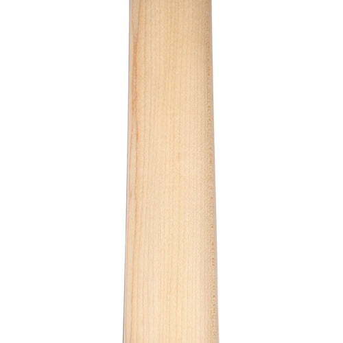 Ibanez TMB100 Electric Bass Tri Fade Burst