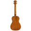 Kala Mahogany Series Baritone Ukulele - Gloss/Mahogany/Mahogany
