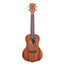 Kala KAC2006 Satin Mahogany Concert Ukulele Rosewood Fingerboard