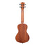 Kala KAC2006 Satin Mahogany Concert Ukulele Rosewood Fingerboard
