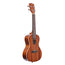 Kala KAC2006 Satin Mahogany Concert Ukulele Rosewood Fingerboard