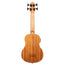 Kala Nomad Acoustic Electric U Bass
