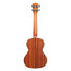 Kala Solid Spruce Mahogany Tenor, Rosewood