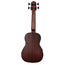 Kala U-Bass Rumbler Fretted With Bag