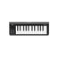 Korg Microkey2 25-Key USB Powered Midi Keyboard