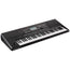 Korg PA300 61-Key Arranger Workstation