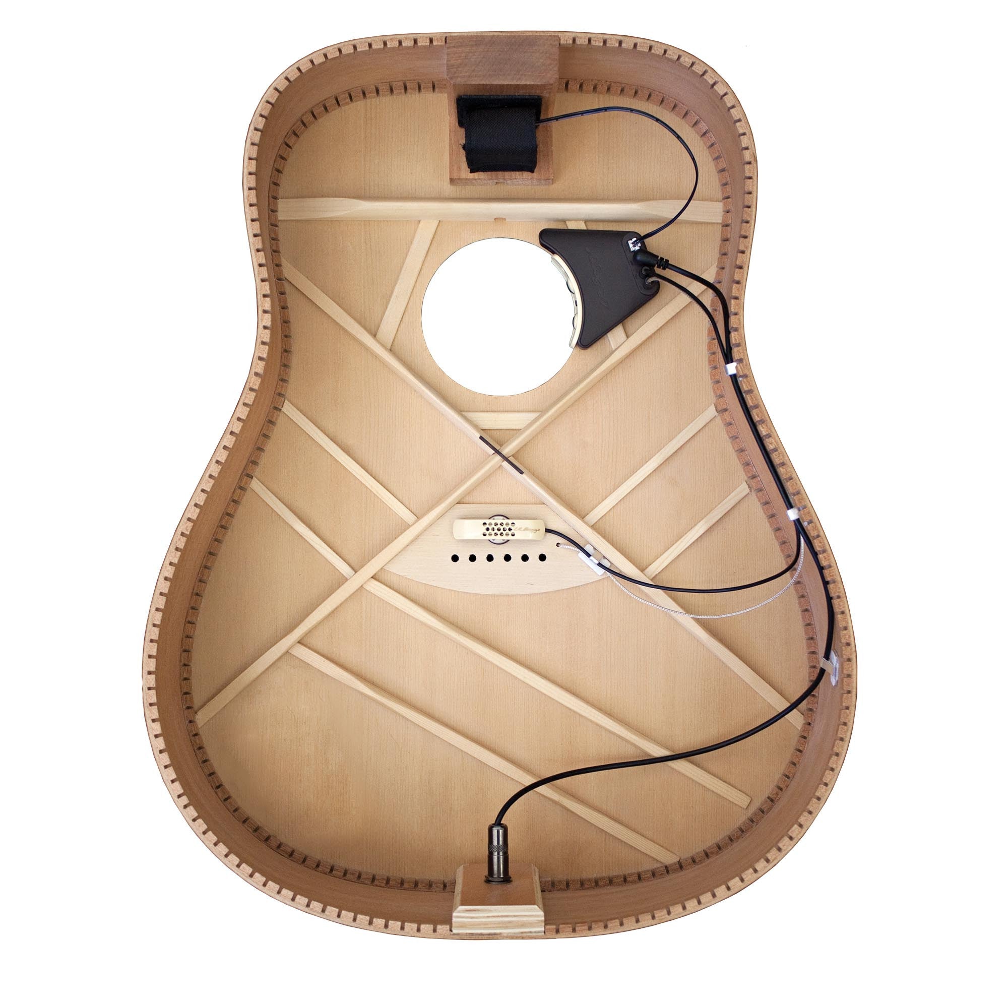 L.R. Baggs Anthem Acoustic Guitar Pickup and Microphone – Russo Music