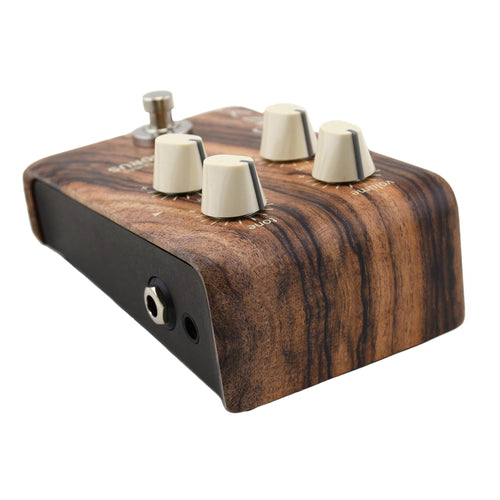 LR Baggs Align Chorus Acoustic Guitar Effect Pedal