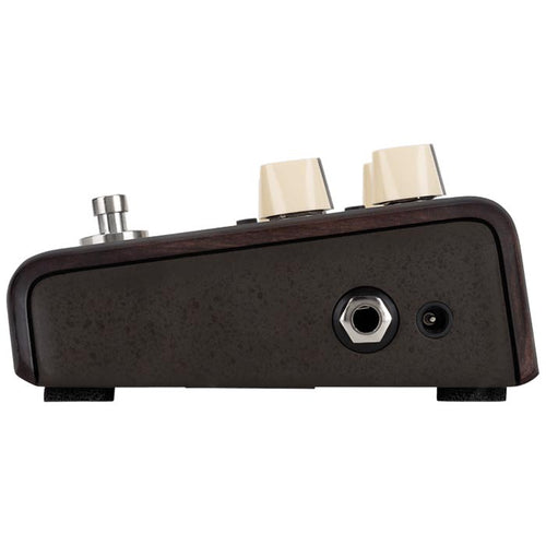 LR Baggs Align Delay