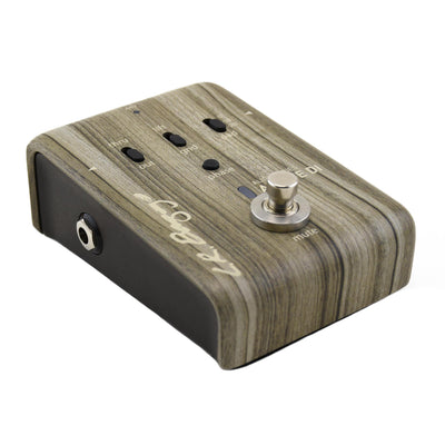 LR Baggs Align Series Active DI Pedal