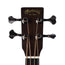 Martin BC16E Rosewood 16 Series With Case